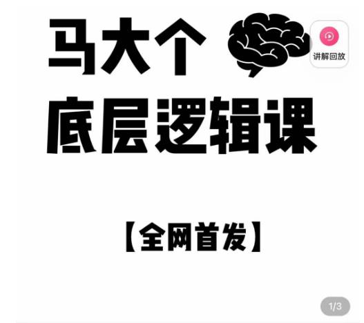 马大个·底层逻辑课，51节底层逻辑智慧课-价值1980元-苏柒资源库
