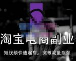 蓝Sir派·淘宝短视频快速起店，替代传统搜索方式，学会做一个不一样的淘宝店-苏柒资源库