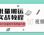 视频号批量搬运实战操作运营赚钱教程,傻瓜式批量制作高质量内容【附视频教程+PPT】-苏柒资源库