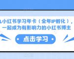 厦九九小红书学习年卡(全年IP孵化),沉浸式学习,一起成为有影响力的小红书博主-苏柒资源库