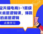 大圣淘宝天猫电商1-7层级盈利增长底层逻辑课，爆款的底层逻辑-苏柒资源库