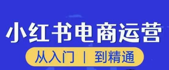 顽石小红书电商高阶运营课程，从入门到精通，玩法流程持续更新-苏柒资源库