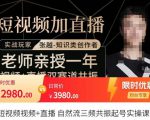 张越·短视频+直播,自然流三频共振起号实操课,短视频所有流量玩法讲解-苏柒资源库