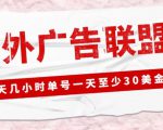 外面收费1980的最新国外LEAD广告联盟搬砖项目,单号一天至少30美金【详细玩法教程】-苏柒资源库