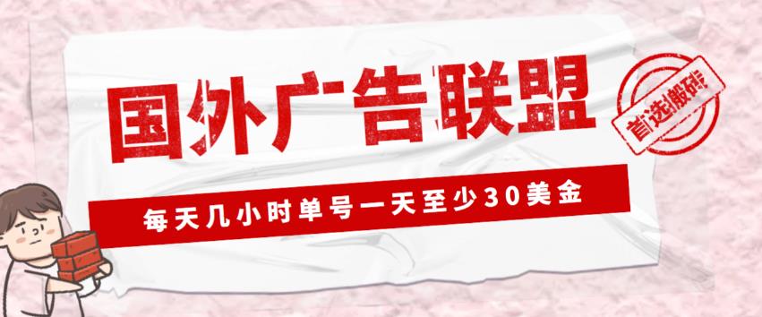 外面收费1980的最新国外LEAD广告联盟搬砖项目，单号一天至少30美金【详细玩法教程】-苏柒资源库