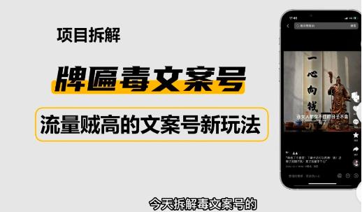 2023抖音快手毒文案新玩法，牌匾文案号，起号快易变现-苏柒资源库