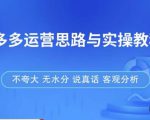 拼多多店铺运营思路与实操教程,快速学会拼多多开店和运营,少踩坑,多盈利-苏柒资源库