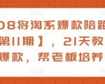 108将淘系爆款陪跑营【第11期】，21天教运营打爆款，帮老板培养运营-苏柒资源库