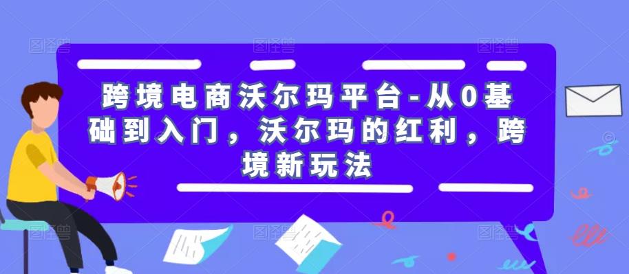 跨境电商沃尔玛平台-从0基础到入门，沃尔玛的红利，跨境新玩法-苏柒资源库