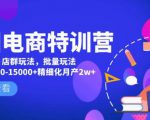 美团电商特训营:美团·店群玩法,无脑铺货月产出6000-15000+精细化月产2w+-苏柒资源库