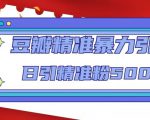豆瓣精准暴力引流,日引精准粉500+【12课时】-苏柒资源库