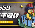 外面9800的CSGO汇率搬砖项目,一个月轻松赚几千【选品软件+详细教程】-苏柒资源库