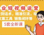 5套·美业短视频运营课从场景到话术·精准引流·吸金文案工具·销售闭环等-苏柒资源库