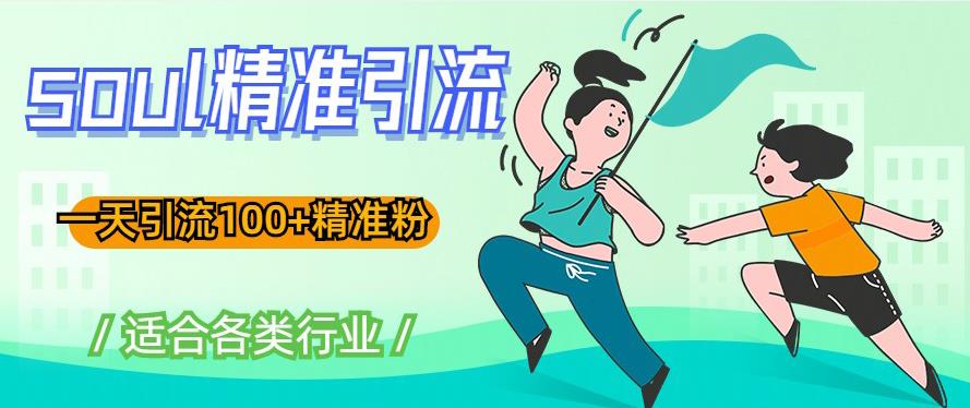 soul精准引流系列课程，一天引流100+精准粉，适合各类行业-苏柒资源库