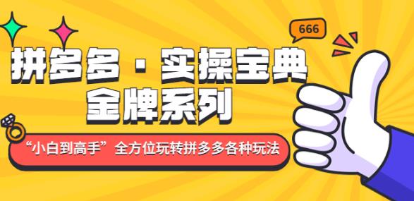 拼多多·实操宝典：金牌系列“小白到高手”带你全方位玩转拼多多各种玩法-苏柒资源库