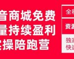 抖音商城搜索持续盈利陪跑成长营，抖音商城搜索从0-1、从1到10的全面解决方案-苏柒资源库