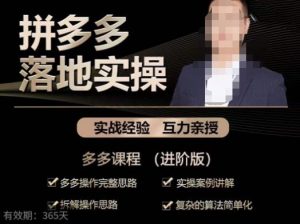 拼多多实战篇·落地实操:多多操作完整思路+实操案例讲解+拆解操作思路+复杂的算法简单化-苏柒资源库