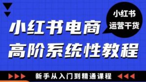 小红书电商高阶系统教程,新手从入门到精通系统课-苏柒资源库
