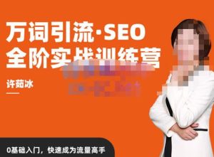 许茹冰·万词引流-SEO全阶实战训练营，0基础入门，快速成为流量高手-苏柒资源库