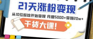 21天精准涨粉变现干货大课:从10位粉丝开始变现月增5000+变现20w+-苏柒资源库