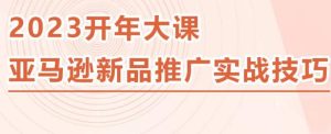 2023亚马逊新品推广实战技巧，线下百万美金课程的精简版，简单粗暴可复制，实操性强的推广手段-苏柒资源库