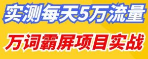 百度万词霸屏实操项目引流课，30天霸屏10万关键词-苏柒资源库