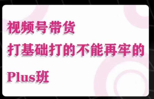 大播汇·视频号带货Puls班，视频号底层逻辑，起号自然流鱼塘等玩法-苏柒资源库