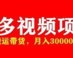 多多带货视频快速50爆款拿带货资格，搬运带货，月入30000【全套脚本+详细玩法】-苏柒资源库
