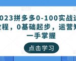 2023拼多多0-100实战运营教程,0基础起步,运营知识一手掌握-苏柒资源库