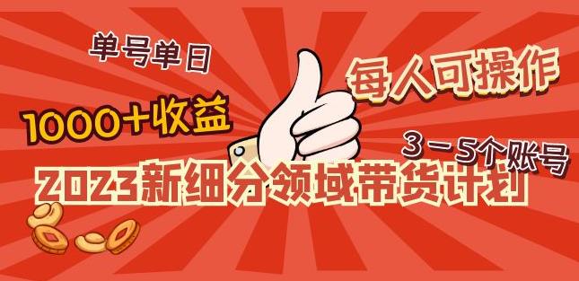 2023新细分领域带货计划：单号单日1000+收益不难，每人可操作3-5个账号-苏柒资源库