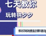 拼多多快速起爆链接思路1.0课程,七天教你玩转拼夕夕,教你快速起爆链接-苏柒资源库