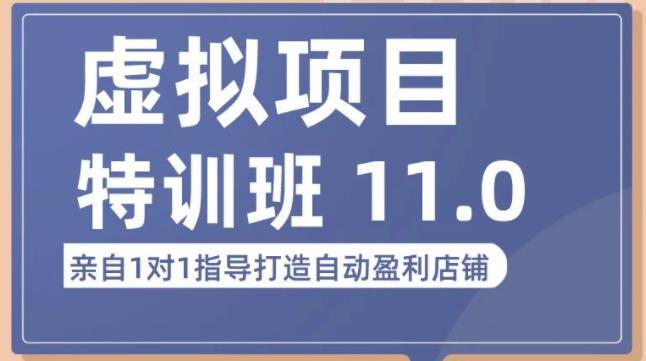 陆明明·虚拟项目特训班（10.0+11.0），0成本获取虚拟素材，0基础打造自动盈利店铺-苏柒资源库