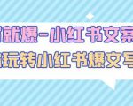 一写就爆-小红书文案课:带你玩转小红收爆文写作(45节课)-苏柒资源库