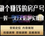 刘广标·同城房产号线上陪跑课,拍摄、剪辑、写文案、直播,做一个具有潜力价值的房产号-苏柒资源库