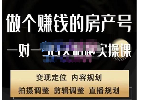 刘广标·同城房产号线上陪跑课，拍摄、剪辑、写文案、直播，做一个具有潜力价值的房产号-苏柒资源库