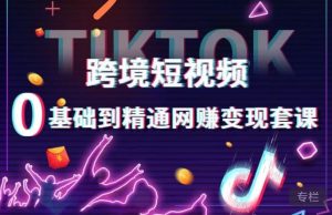 跨境短视频TIKTOK 0基础到精通网赚变现套课,跨境短视频独立站带货变现技巧-苏柒资源库