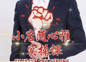 随心推线上课，小店随心推的投放逻辑，投放技巧，快速打标签-苏柒资源库