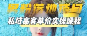 【男粉落地项目】零基础玩转男粉短视频转私域日产500+,2023男粉高客单价实操教程-苏柒资源库