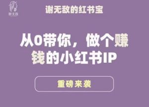 谢无敌·小红书运营大宝典,从0带你做个赚钱的小红书IP-苏柒资源库