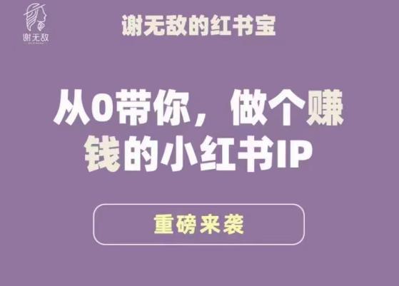 谢无敌·小红书运营大宝典，从0带你做个赚钱的小红书IP-苏柒资源库