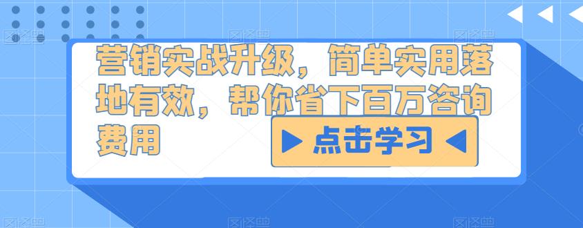 营销实战升级，简单实用落地有效，帮你省下百万咨询费用-苏柒资源库