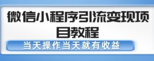 微信小程序引流变现项目教程,当天操作当天就有收益,变现不再是难事-苏柒资源库