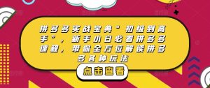 拼多多实战宝典“初级到高手”,新手小白必看拼多多课程,带你全方位解读拼多多各种玩法-苏柒资源库