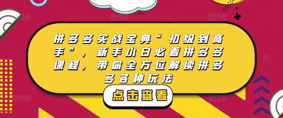 拼多多实战宝典“初级到高手”，新手小白必看拼多多课程，带你全方位解读拼多多各种玩法-苏柒资源库