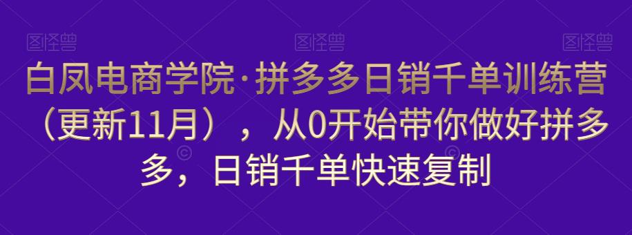 白凤电商学院·拼多多日销千单训练营，从0开始带你做好拼多多，日销千单快速复制（更新知2023年3月）-苏柒资源库