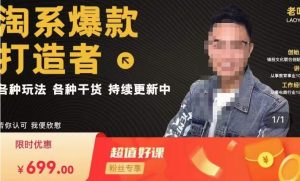 锋投老叶全店动销,淘系干货汇总,各种玩法,淘系爆款打造者-苏柒资源库