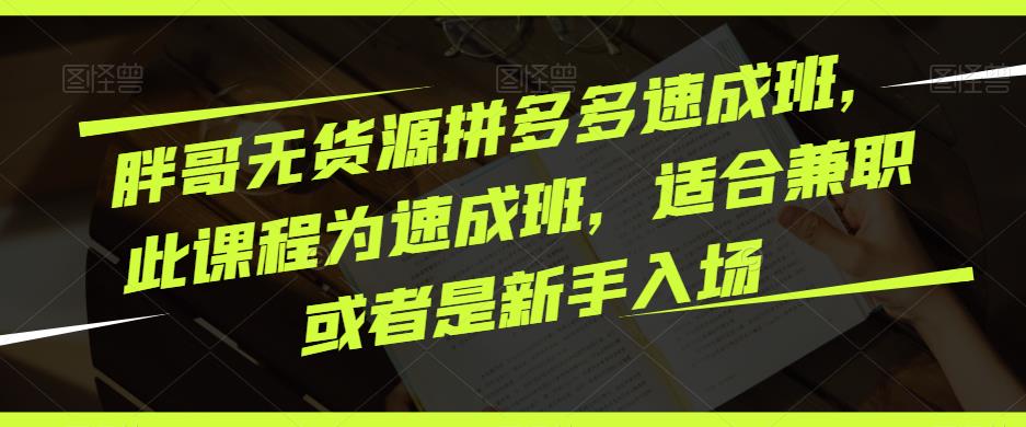 胖哥无货源拼多多速成班，此课程为速成班，适合兼职或者是新手入场-苏柒资源库