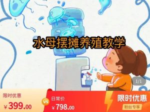 水母摆摊教学,包括摆摊技术、养殖技术、拿货渠道、抖音运营等-苏柒资源库