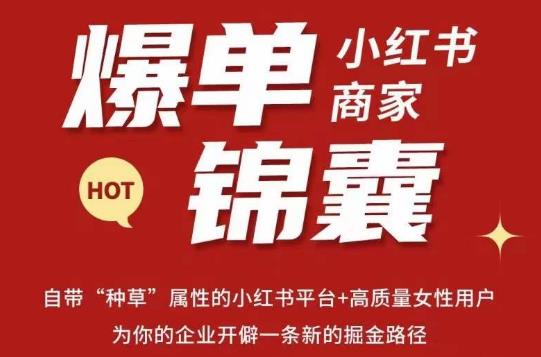 无畏·小红书商家爆单锦囊，掌握小红书各大规则，快速精准抢占行业和市场-苏柒资源库