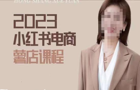 2023小红书电商课，新手小白从0~1玩转小红书薯店电商-苏柒资源库